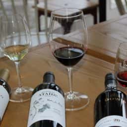 Symington: Provas de vinhos comentadas em direto agora também ao fim-de-semana