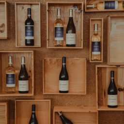 Entre a Terra e o Céu, COSMOS é a nova marca de vinhos da CARM que nasce mais “Perto das Estrelas”