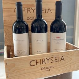 Chryseia 2023